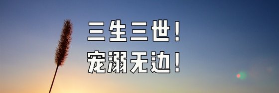 三生三世！宠溺无边！